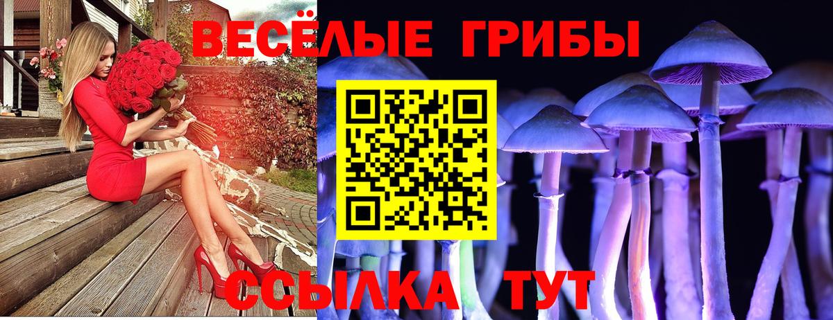 Междуреченск  Галлюциногенные грибы мухоморы  Вход с VPN 