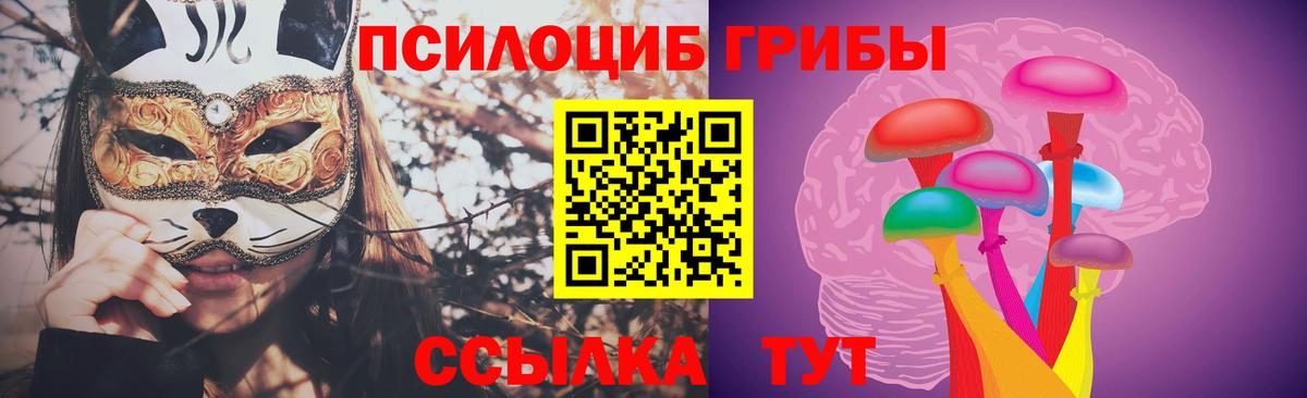 Псилоцибиновые грибы Psilocybine cubensis Междуреченск
